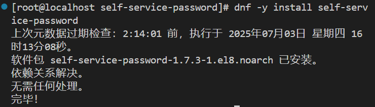 image-20250704102758477