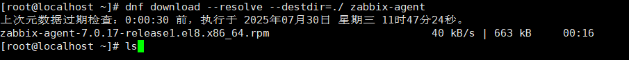 image-20250730143934759