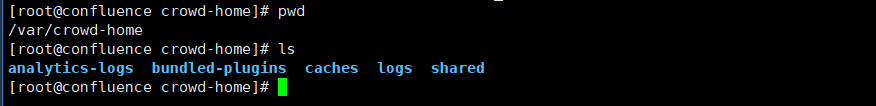 image-20250721165811334